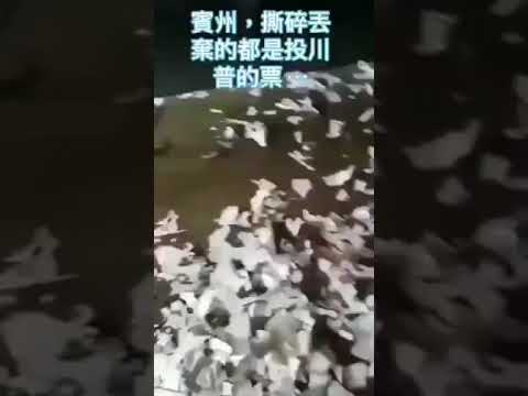 Election Fraud Exposed – Shredded Applications
