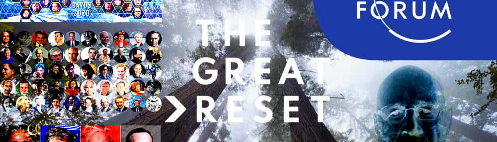 the great reset new world order has arrived and its not a good thing