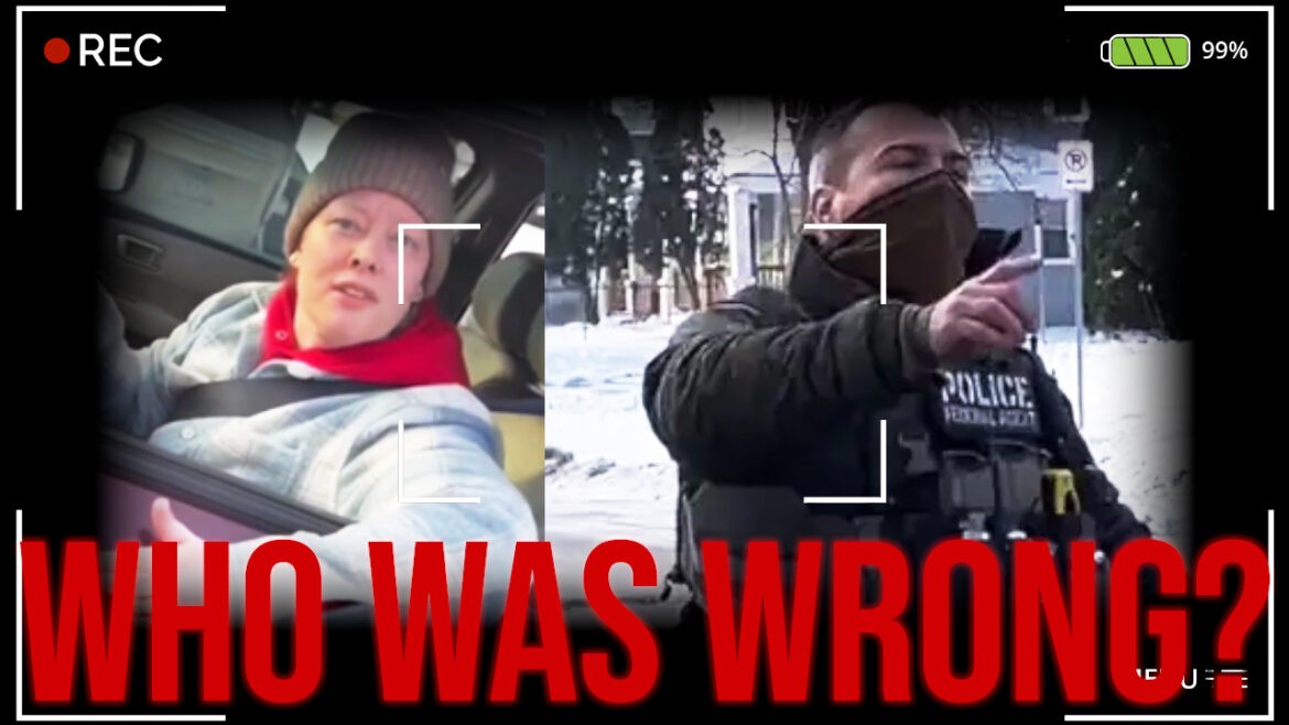 A Deep Analysis of the Minneapolis ICE Shooting